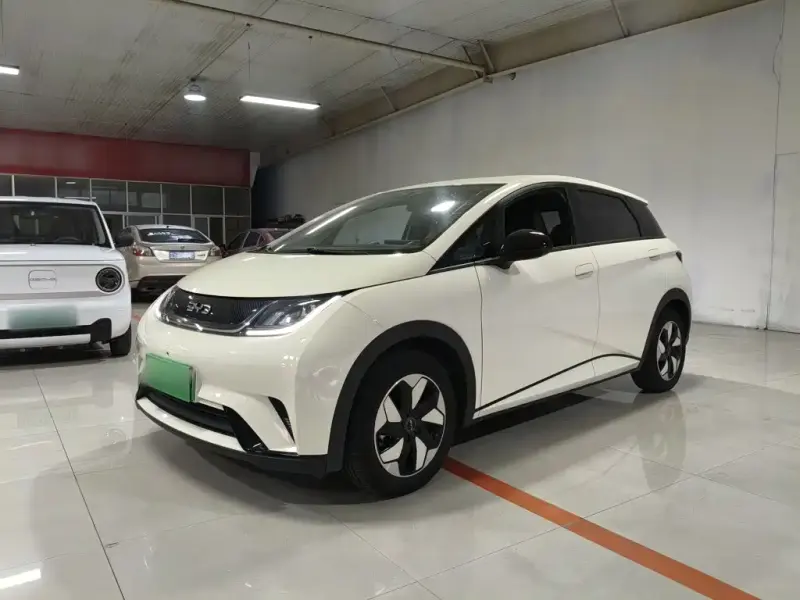 BYD Dolphin, 2025