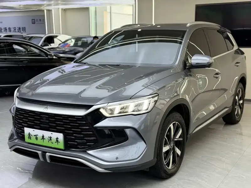 BYD Pro New Energy, 2024