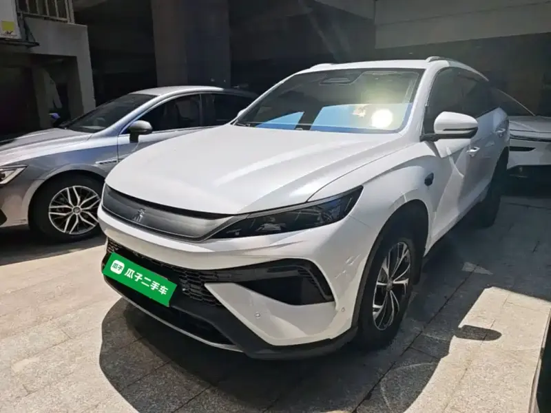 BYD Pro New Energy, 2025