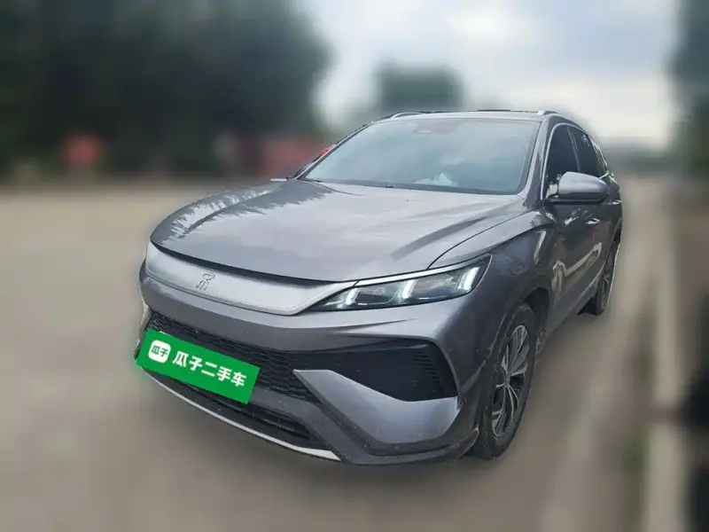 BYD Pro New Energy, 2024