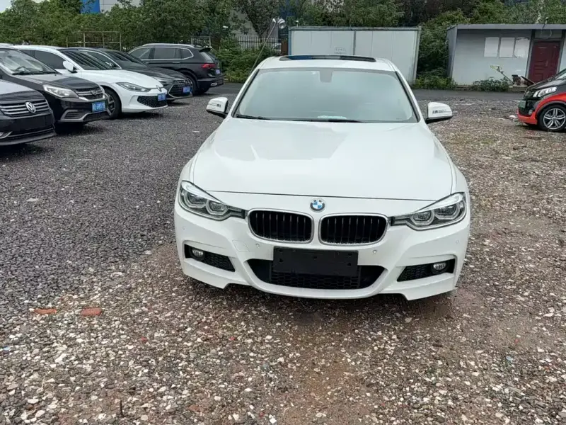 BMW 3 Series BMW 3 Series 2018 320Li Leading Type M Sport Package, 2018 — фото 1