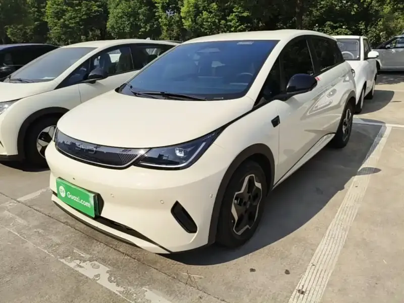BYD Dolphin, 2026