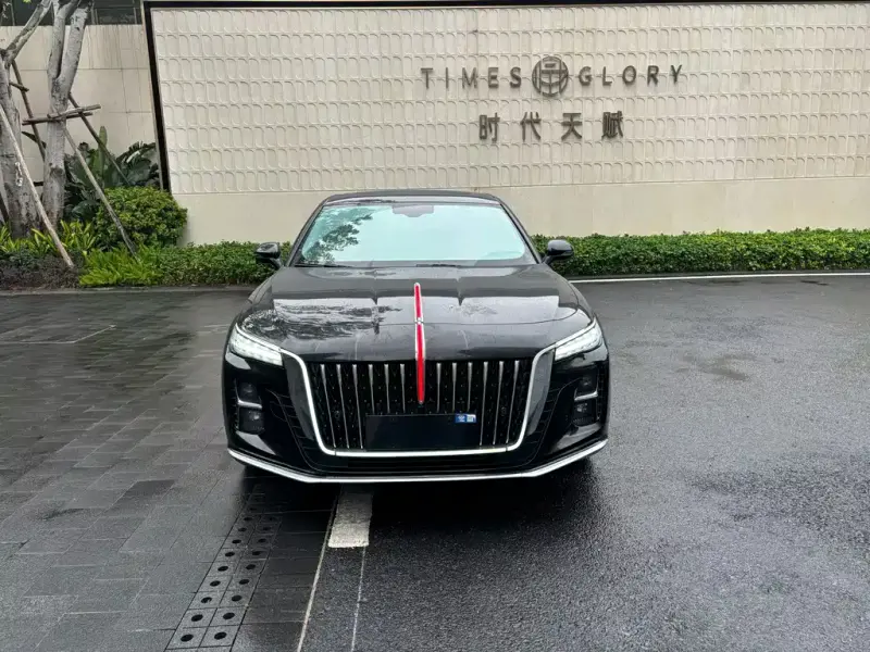 Hongqi H5, 2024