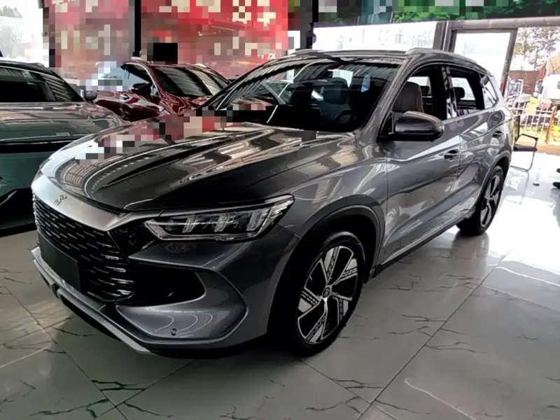 BYD Pro New Energy, 2024