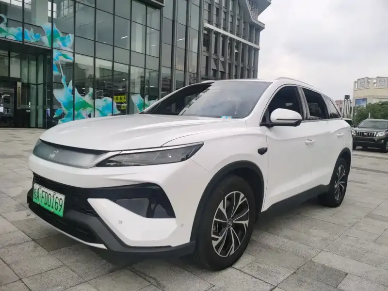 BYD Pro New Energy, 2025