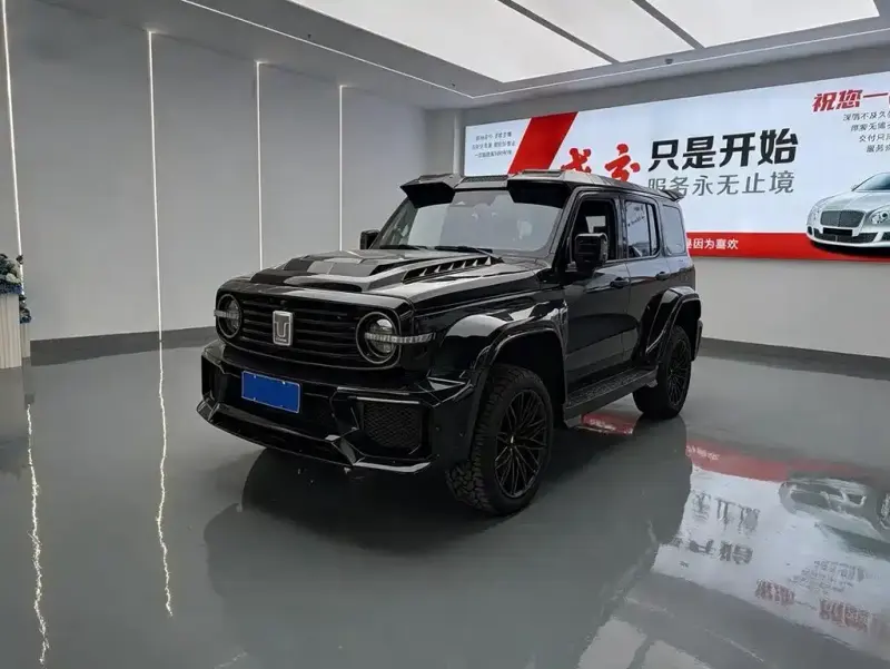 Tank 300, 2022
