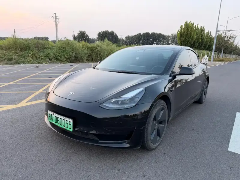Tesla Model 3, 2021