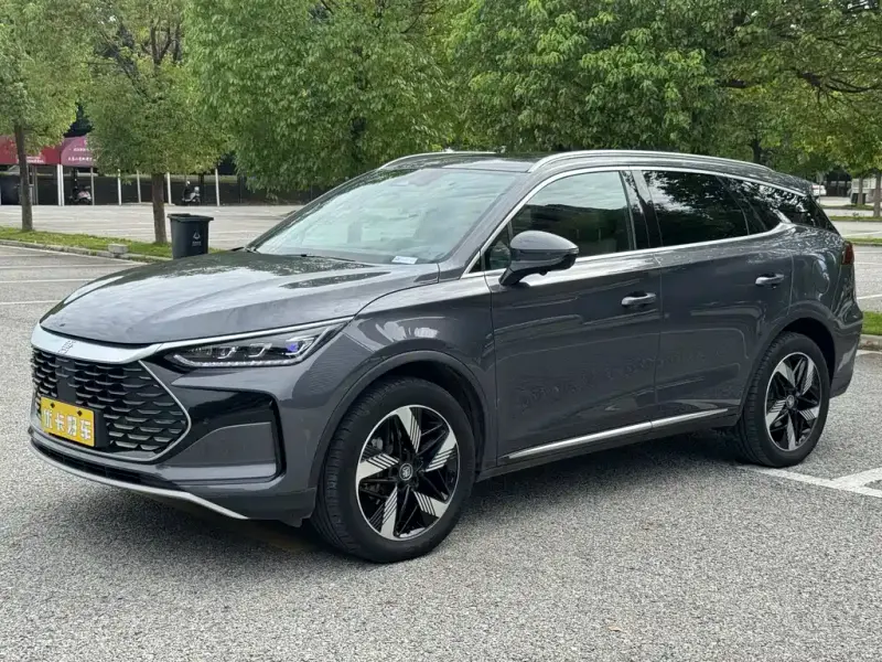 BYD Tang New Energy, 2024
