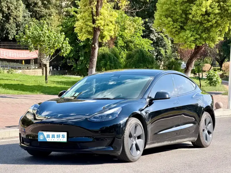 Tesla Model 3, 2021
