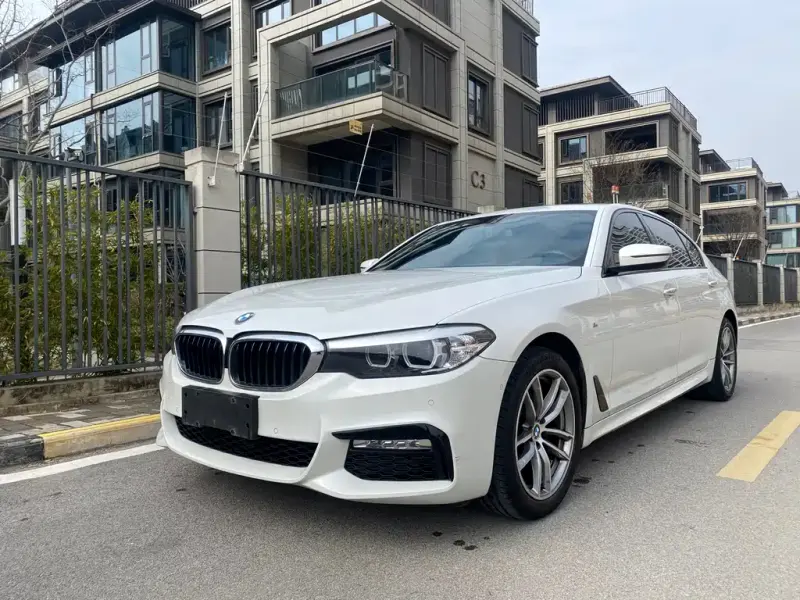 BMW 5 Series BMW 5 Series 2018 525Li M Sport Package, 2018 — фото 1