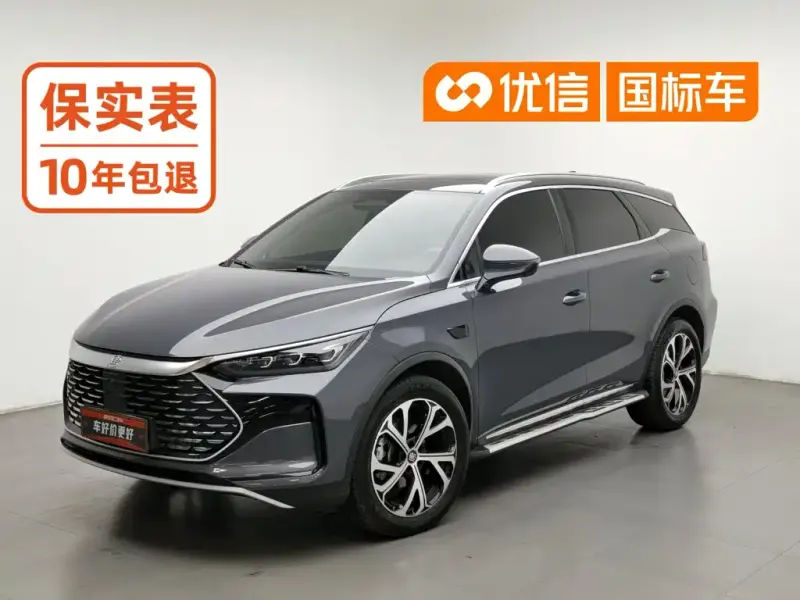 BYD Tang New Energy, 2025