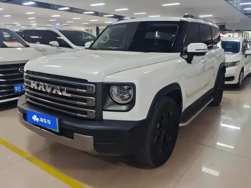 Haval Menglong New Energy, 2024