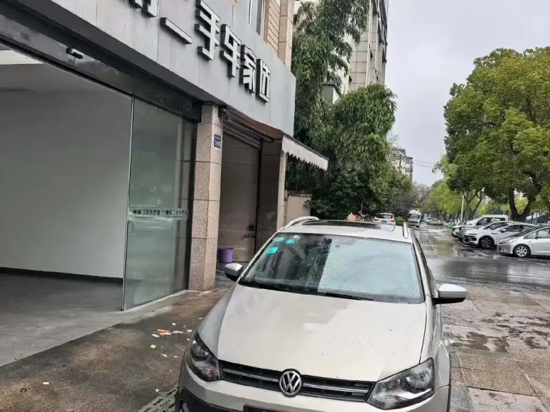 Volkswagen Polo, 2014