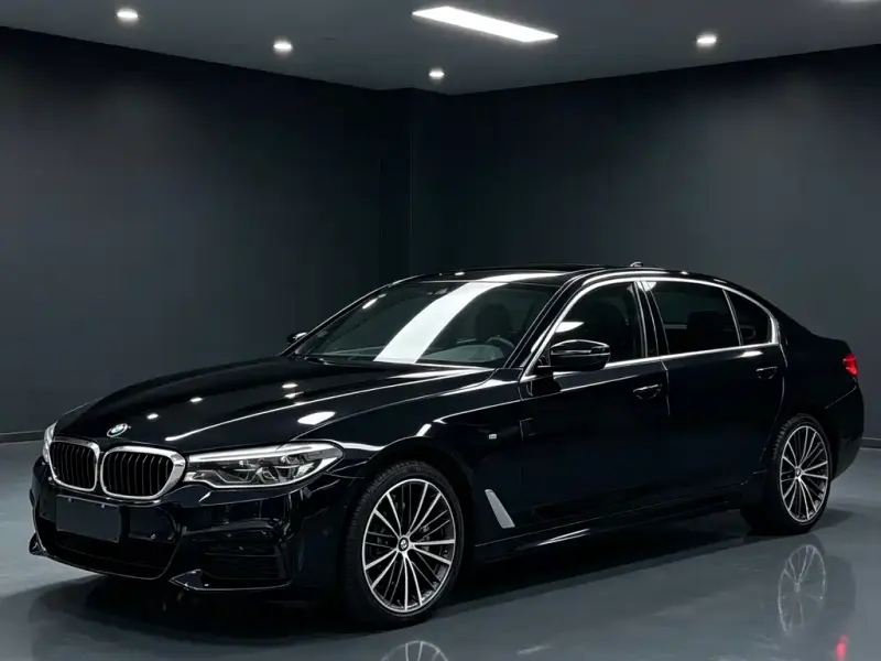 BMW 5 Series BMW 5 Series 2020 530Li Leading Type M Sport Package, 2020 — фото 1