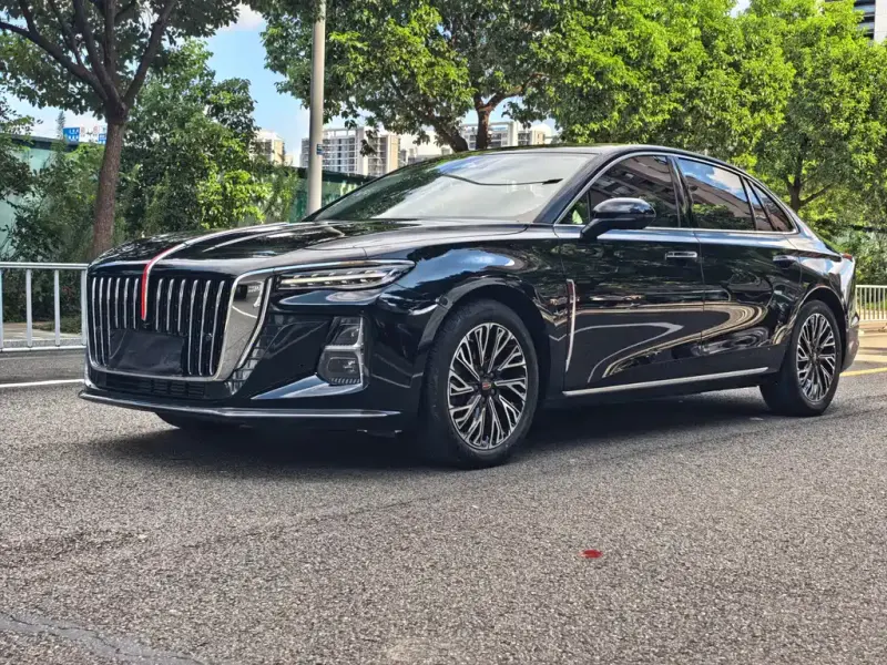 Hongqi H5, 2024