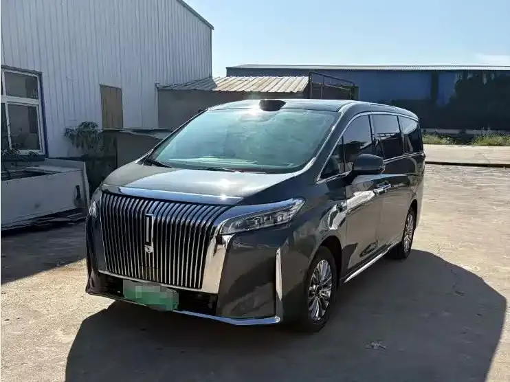 Wey Gaoshan New Energy, 2025