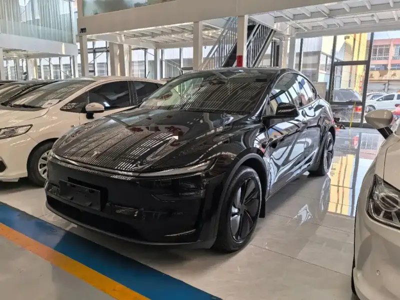 Tesla Model Y Tesla Model Y 2025 RWD Drive Dynamic First Edition Edition, 2025 — фото 1