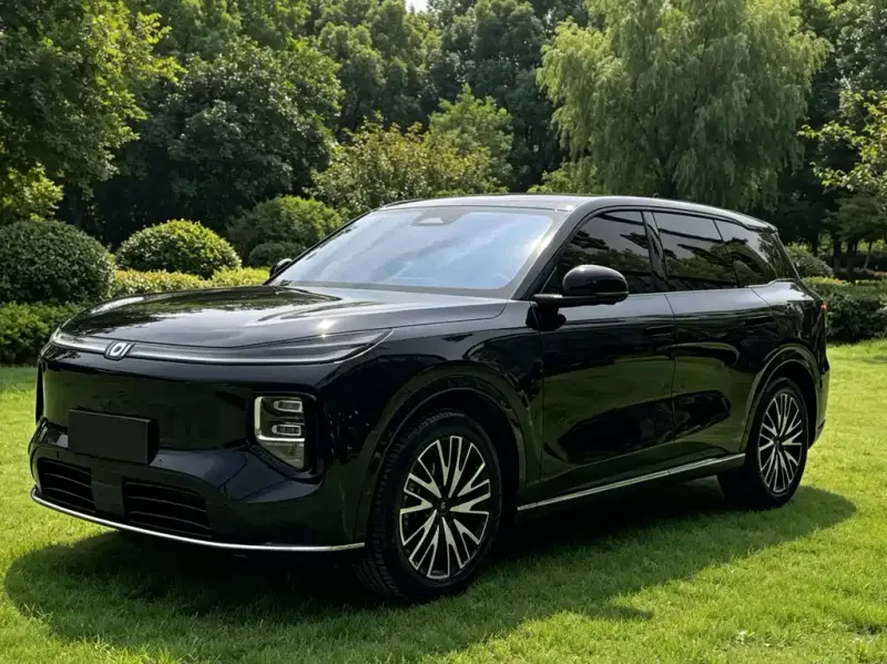 Qiyuan Q07, 2025