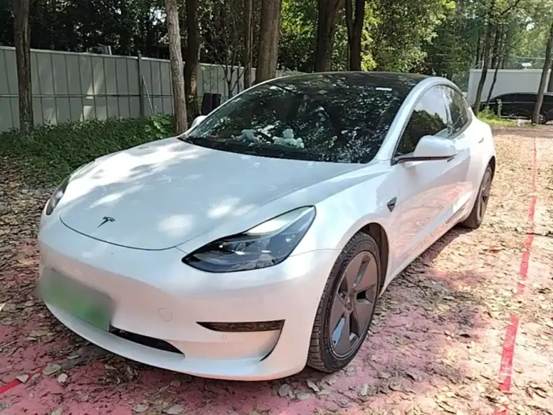 Tesla Model 3, 2021