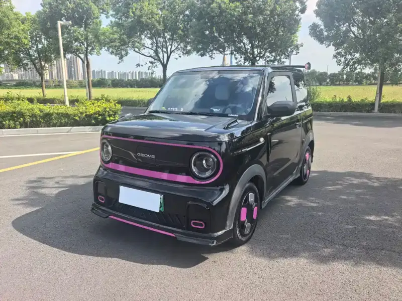 Galaxy Panda, 2024