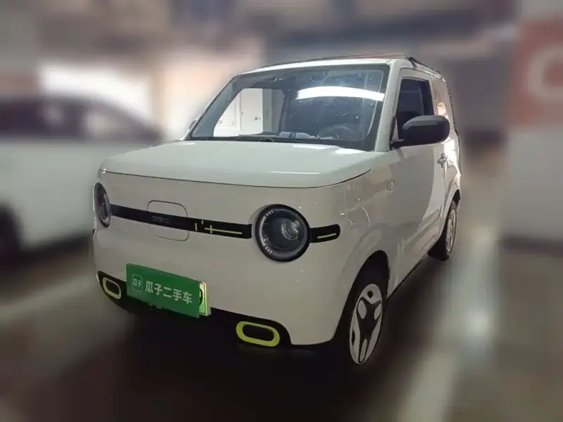 Galaxy Panda, 2025