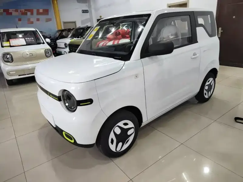 Galaxy Panda, 2025