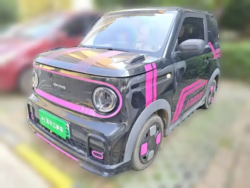 Galaxy Panda, 2024