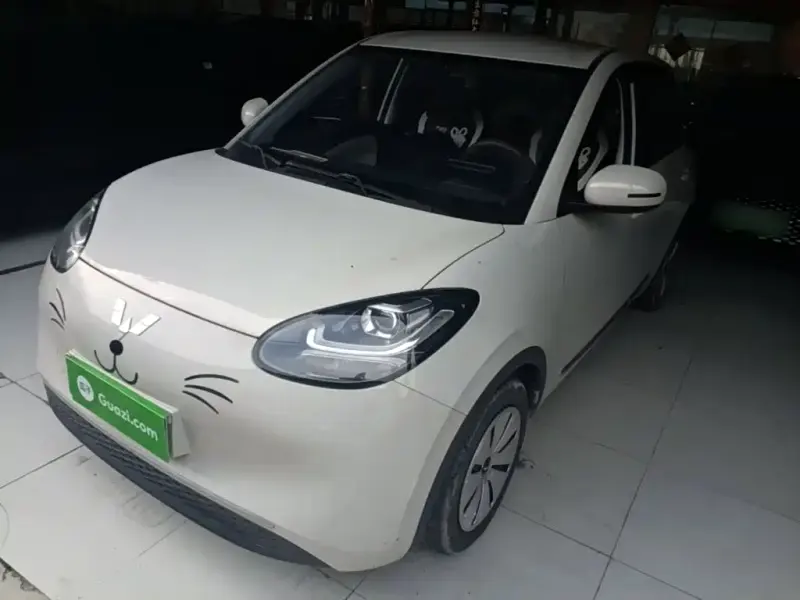Wuling Bingo, 2023