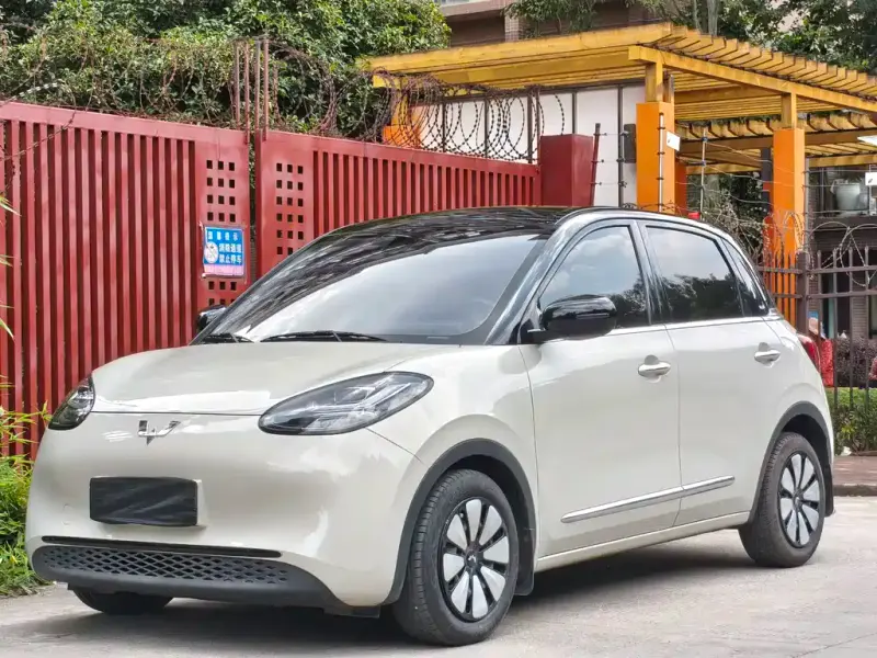 Wuling Bingo, 2023