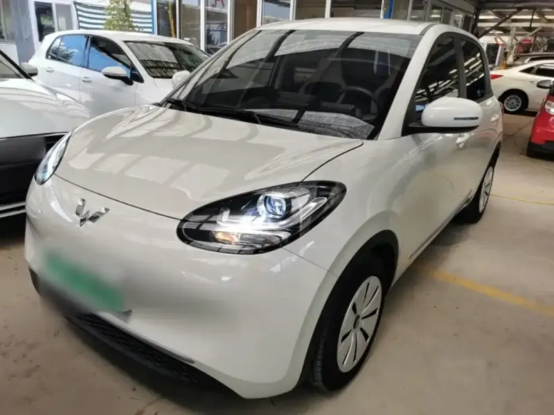 Wuling Bingo, 2024