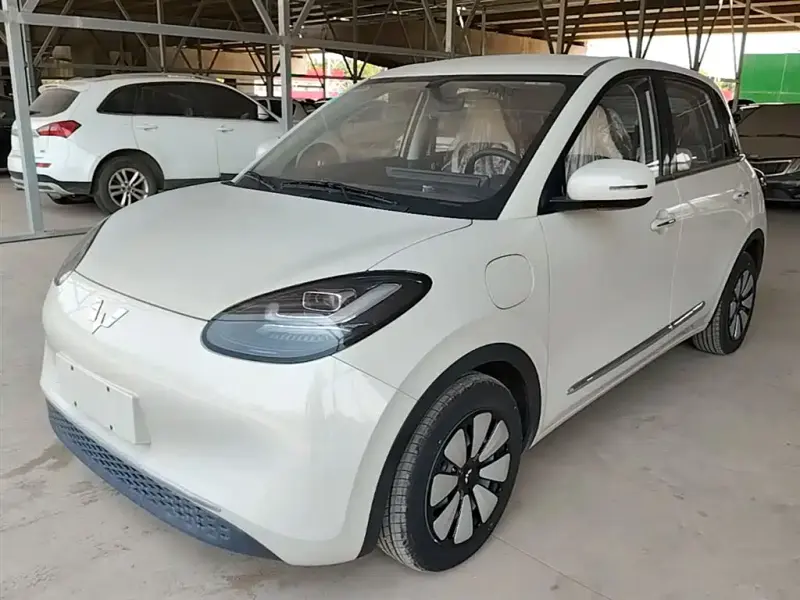 Wuling Bingo, 2024