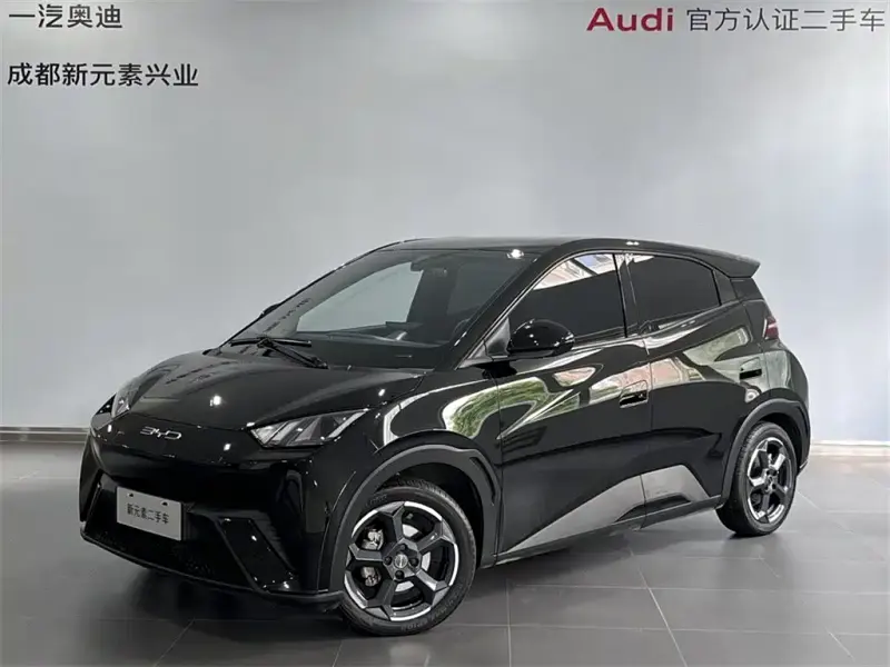 BYD Seagull, 2024