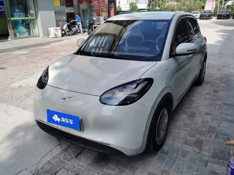 Wuling Bingo, 2023