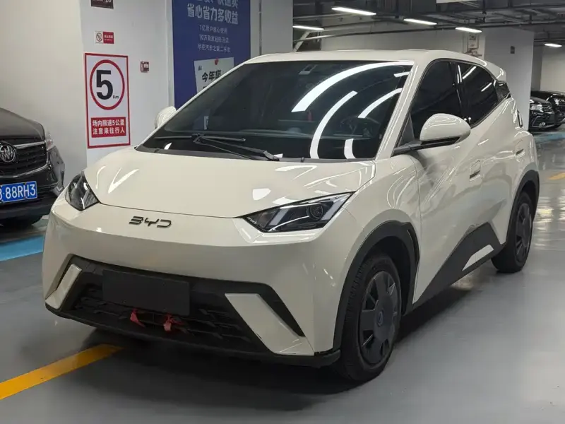 BYD Seagull, 2025
