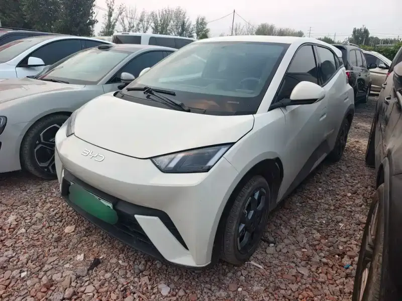 BYD Seagull, 2024