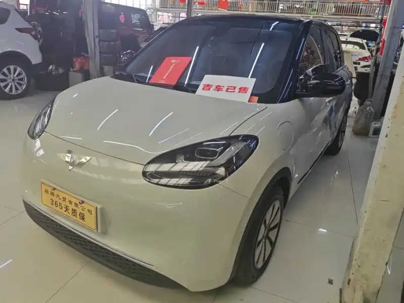 Wuling Bingo, 2023