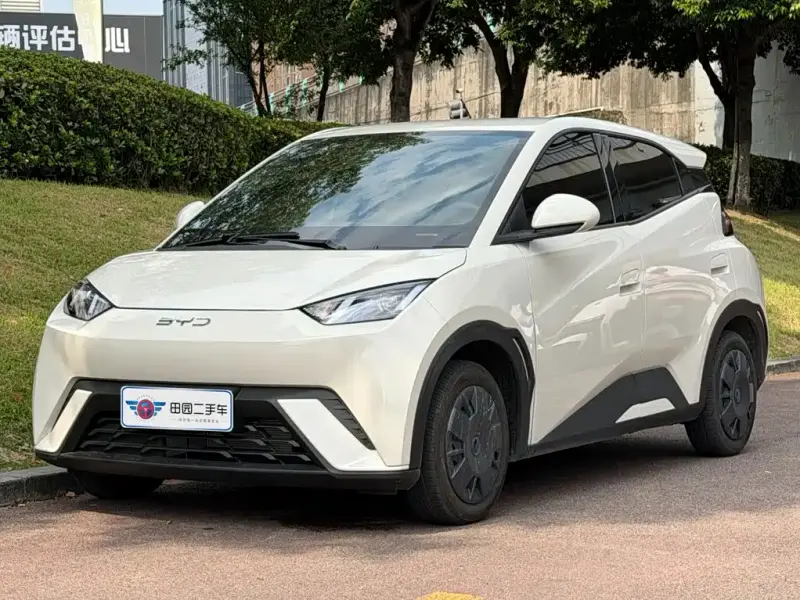 BYD Seagull, 2024
