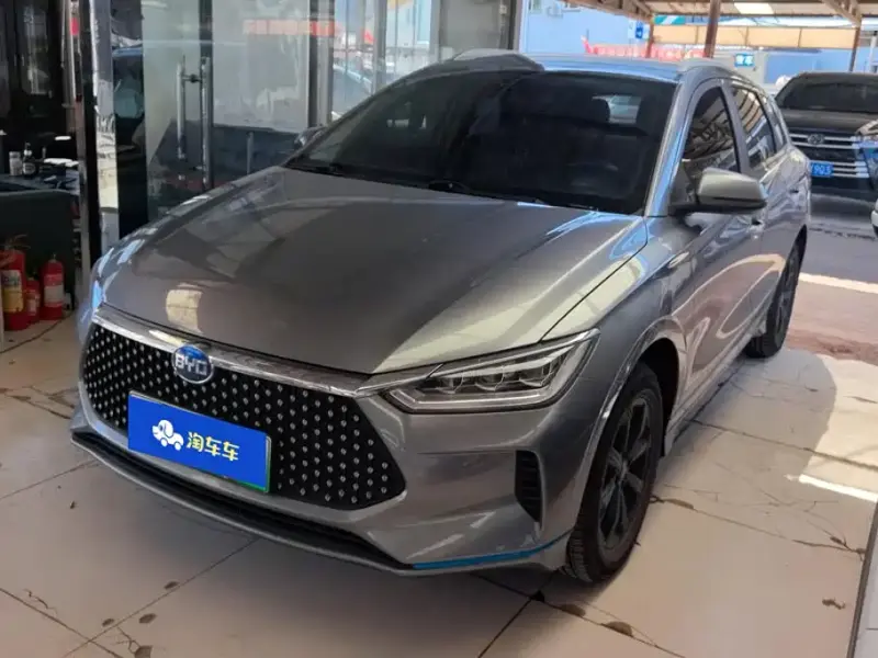 BYD e2, 2022