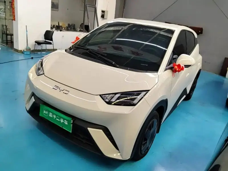 BYD Seagull, 2024