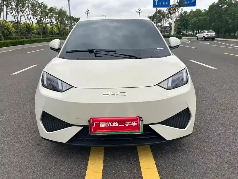 BYD Seagull, 2025