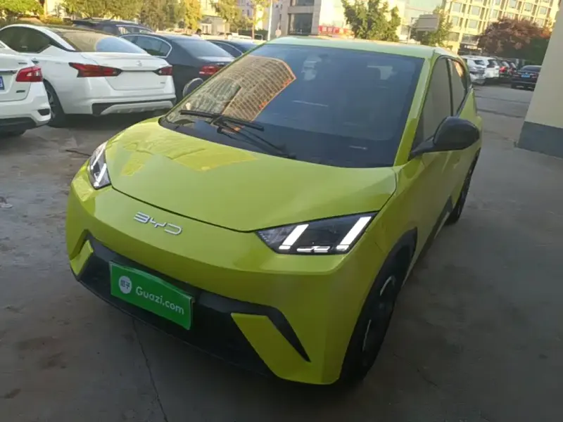 BYD Seagull, 2023