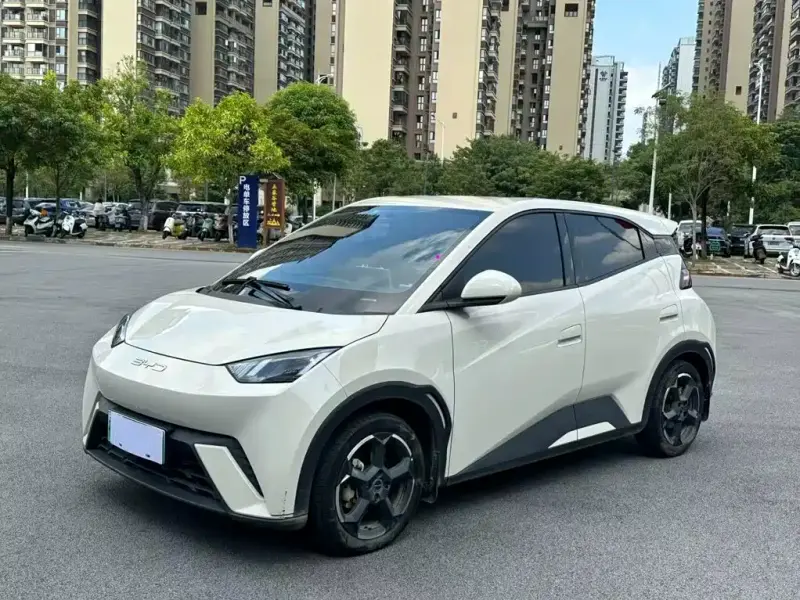 BYD Seagull, 2024