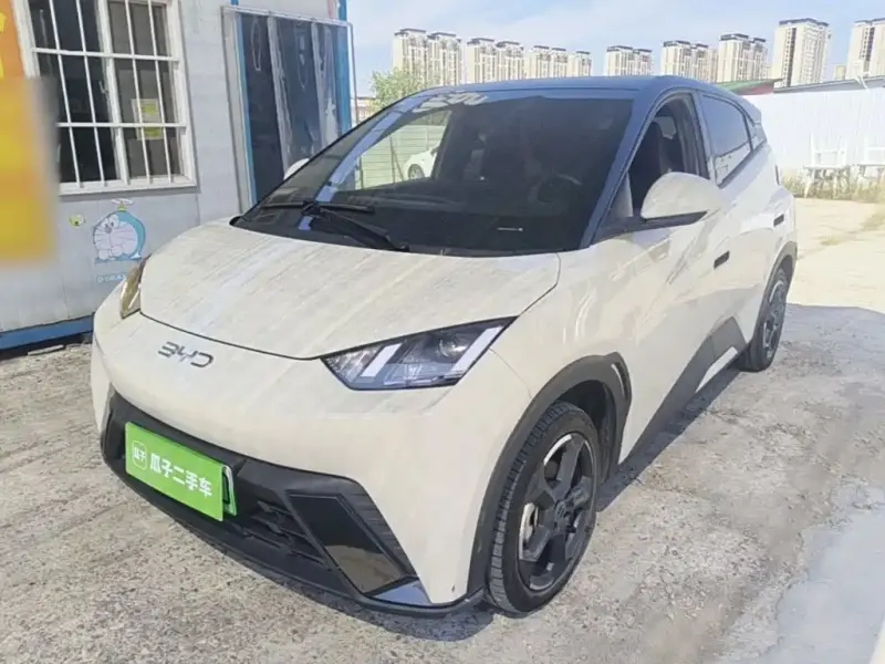 BYD Seagull, 2024