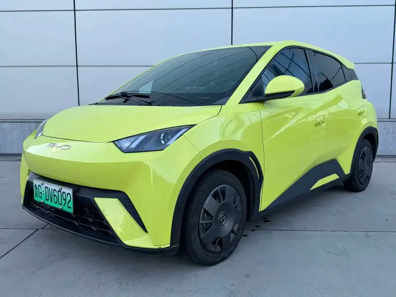 BYD Seagull, 2024
