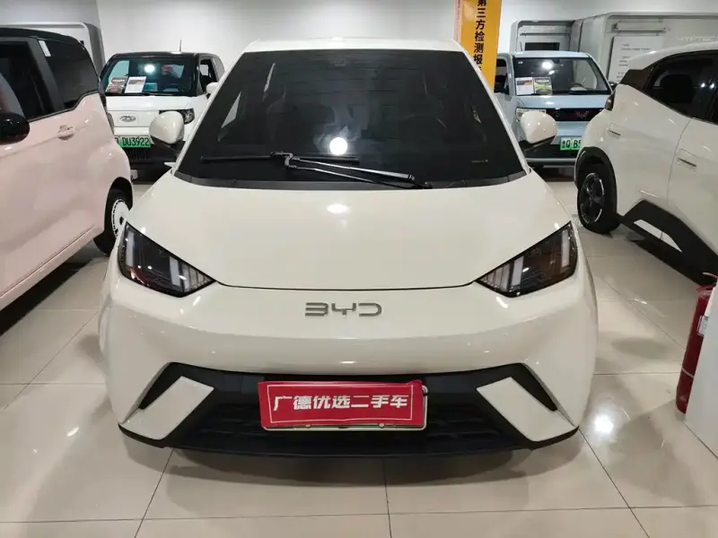 BYD Seagull, 2024