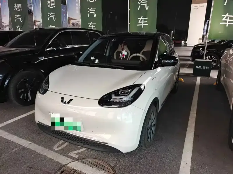 Wuling Bingo, 2024