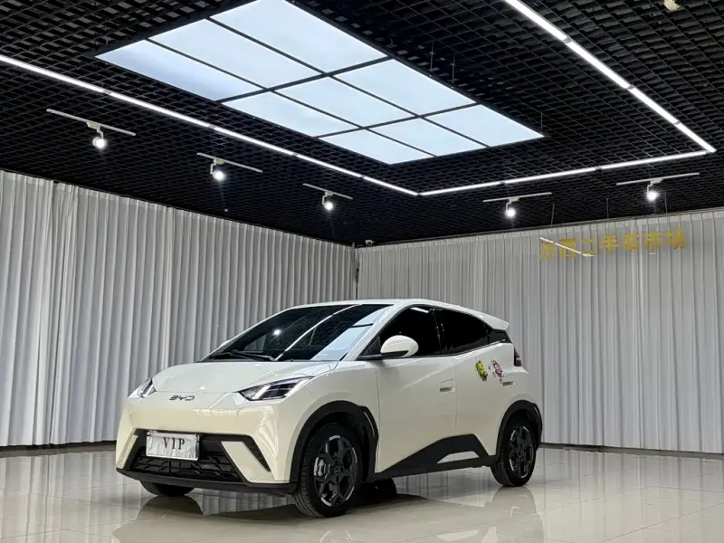 BYD Seagull, 2024