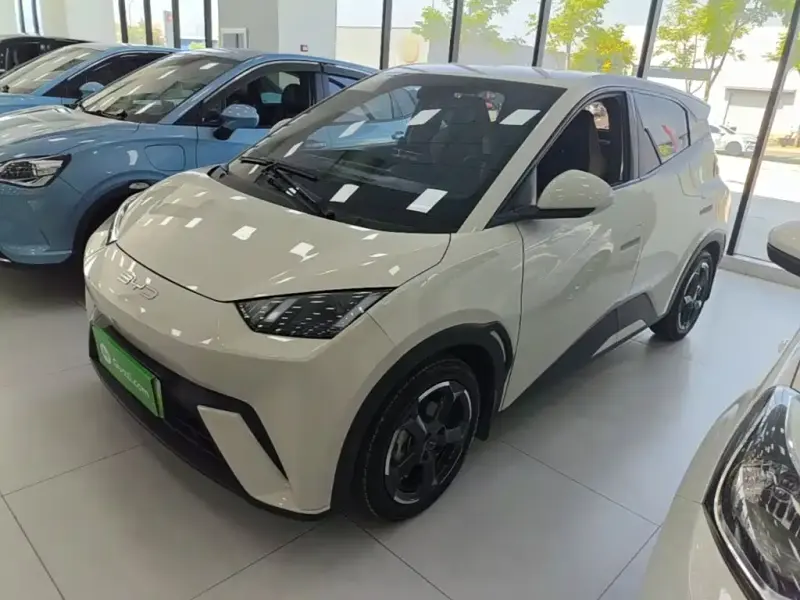 BYD Seagull, 2024