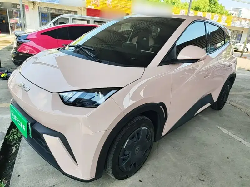 BYD Seagull, 2024