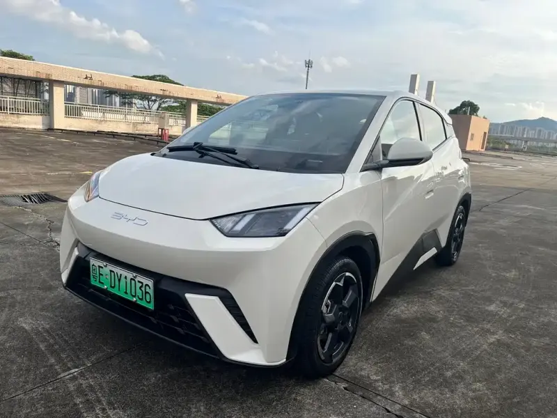 BYD Seagull, 2024